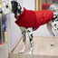 Outech Bi-Texture Abrigo Rojo para perros, , large indicador imagen numero 2